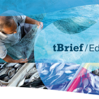 TRANSPARENCY IN FISHERIES: Not as clear as it seems