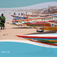 INVISIBLE, UNDERVALUED AND UNDERAPPRECIATED? Transparency for small-scale fisheries